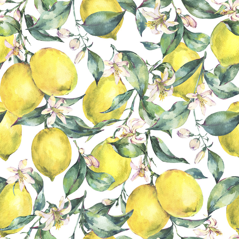 Vermontville Branch Of Fruit Lemon by Varvara Kurakina - Wrapped Canvas Painting, 51cm H x 51cm W x 3.8cm D