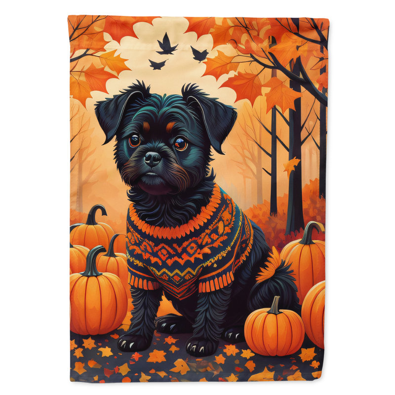 Double Sided 15.5'' H x 11.25'' W Polyester Garden Flag
