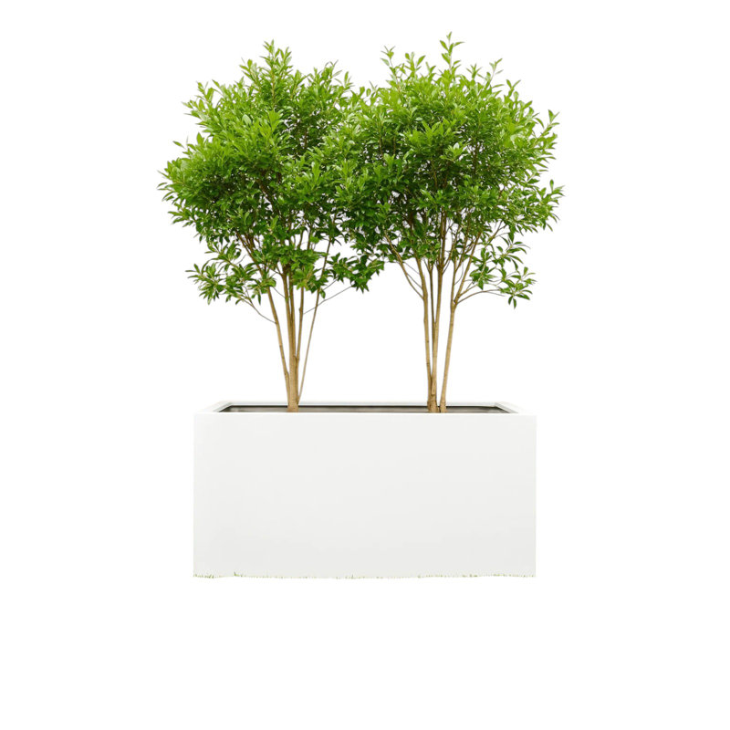 Angellie Basic Fiberstone Planter Box, 15.75" H x 11.5" W x 31.5" D, Gray