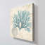 "Blue Seaweed II" par Susan Arnot, reproduction sur toile-1786231680