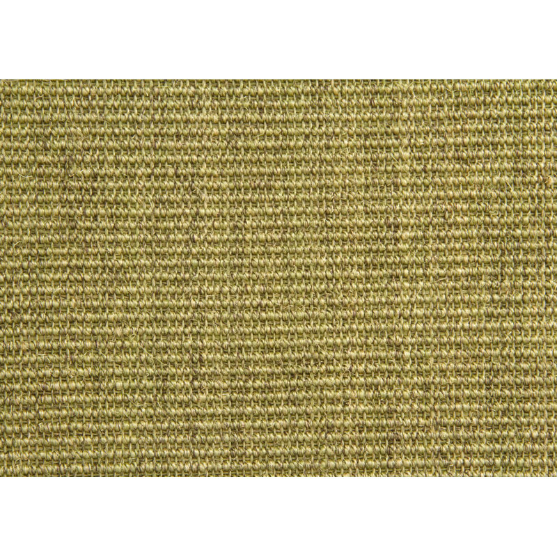 Areesha Solid Colour Jute / Sisal Flatweave Area Rug, Rectangular 200 x 240cm
