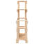 Anguri Plant Stand-80823196