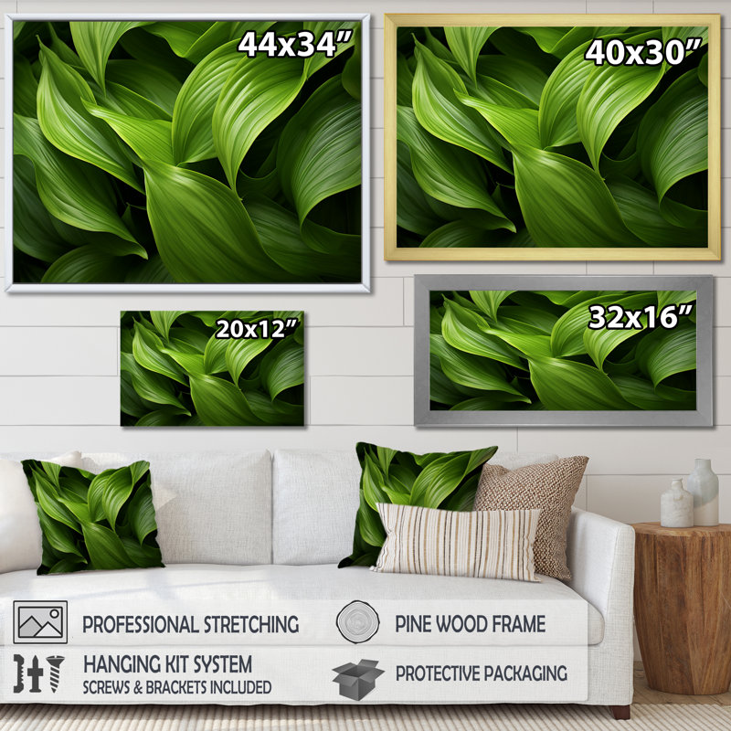 Greenerys Gaze I - plantes, art mural sur toile, Cadre photo doré, H 34 po x l 44 po x P 1,5 po