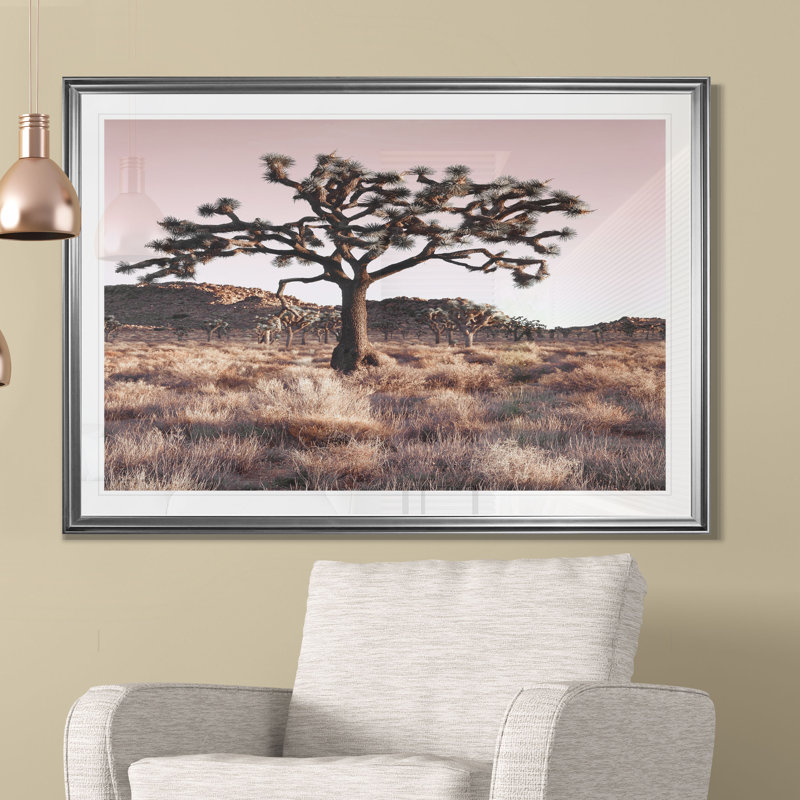 " Joshua Tree ", 20" H x 24" W x 1.5" D, Silver Frame