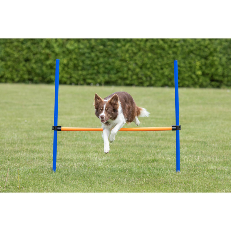 Adjustable Blue and Orange Dog Agility Hurdle