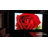 Spectrum Electric Matte White Projector Screen, 16:9, Black Casing-108495466