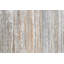 «Aspen Forest 1» par Art Collective, reproduction sur toile tendue sur bois-23991429