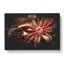 Cinnamon And Star Anise Paint Splash - Wrapped Canvas-61884130
