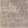 Jazive Oriental Indoor Rug