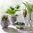 Muse Handmade Statue Planter