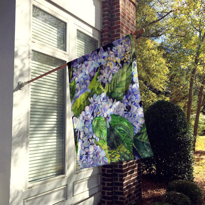 Nicoletti Double Sided 40'' H x 28'' W Polyester House Flag