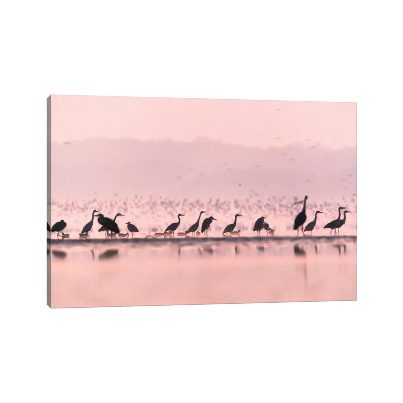 Life At The Pond by Mateusz Piesiak - Wrapped Canvas Print, 66.04 cm H x 45.72 cm W x 3.175 cm D