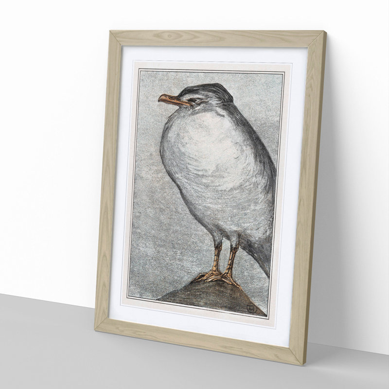 Herring Gull by Theo Van Hoytema - Framed Print, 36cm H x 27cm W x 2cm D, Oak Framed