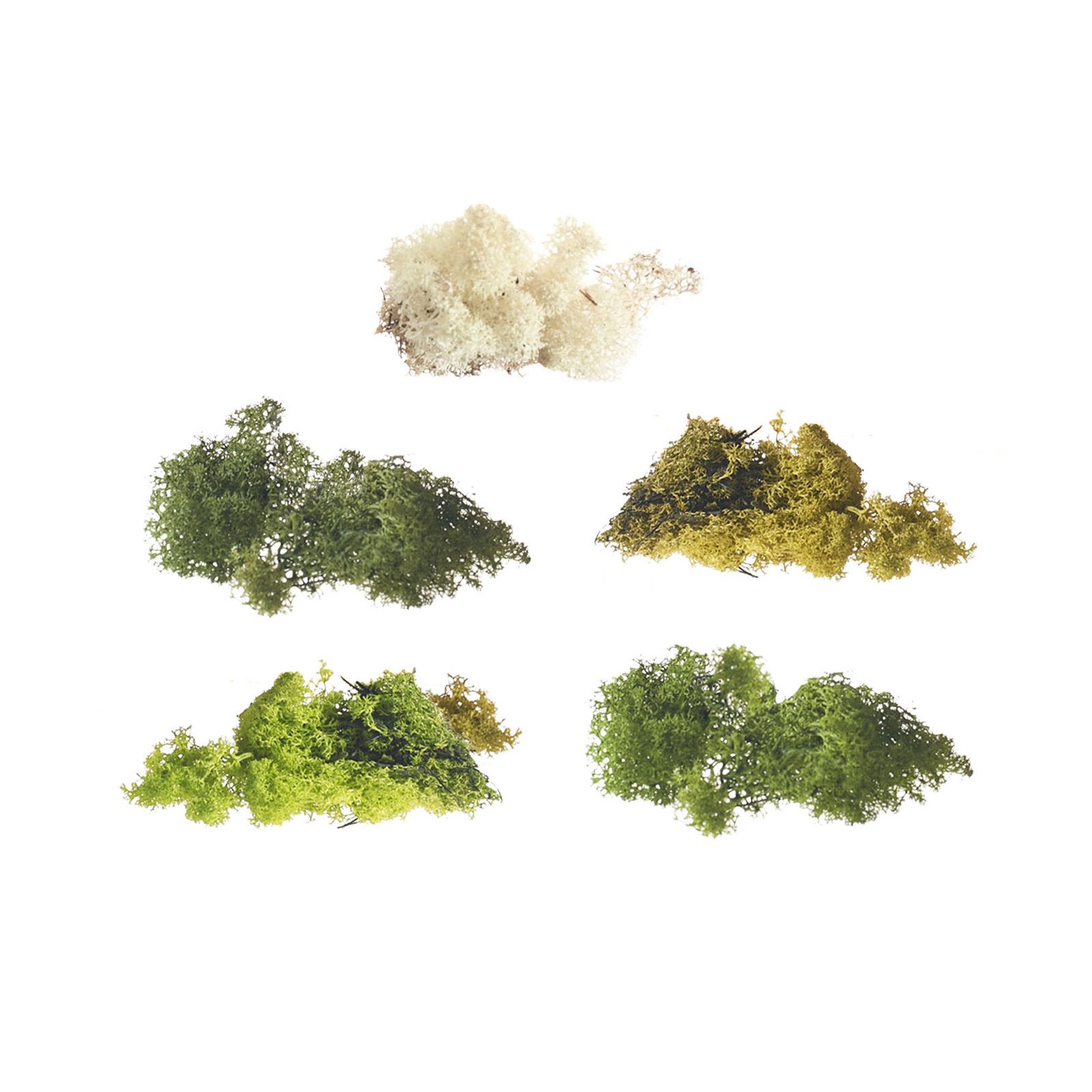 3.5'' Moss Plant, White
