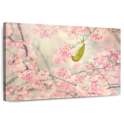 Cherry-Blossom Colour I