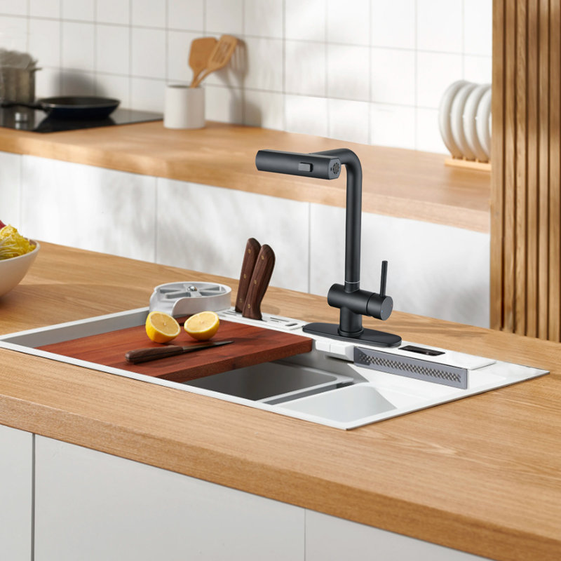 RENIST Pull Down Kitchen Faucet, Matte Black