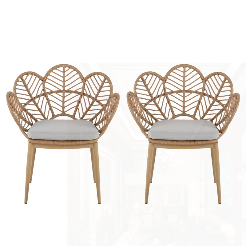 Outdoor Wicker Chair Set Of 2