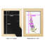 Annie's Foxglove II-117257998-117258043