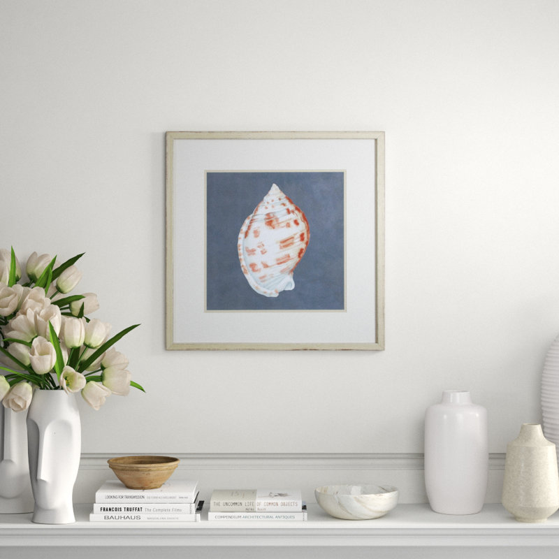 Shell On Slate I Print by Meagher