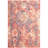Goodwyn Bristol Performance Oriental Rug-20502562