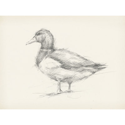 Antique Duck Sketch II by Ethan Harper - Wrapped Canvas Print