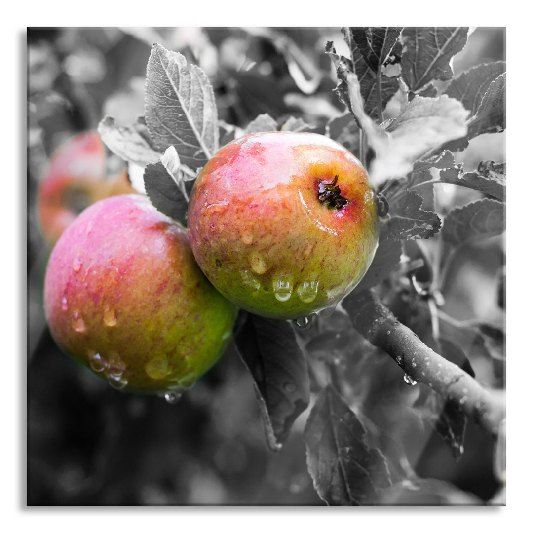 Ungerahmtes Foto auf Glas "Delicious Wild Apple"