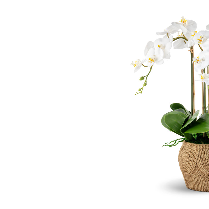 Manorca RealTouch Orchid Arrangement, Snow