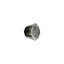 Roger Thomas Bronze Novelty Knob-56412425
