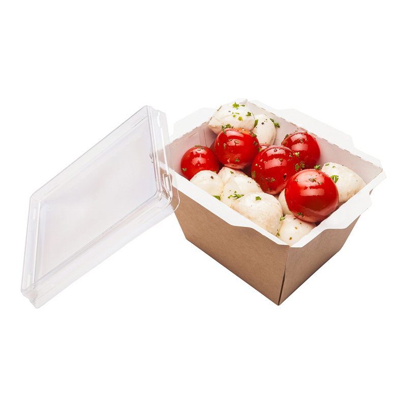 Café Vision Paper Disposable Tableware