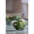 Essentials Jewel 5 Piece Bowl Set