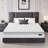 Neche 10'' Medium Memory Foam Mattress-68894784