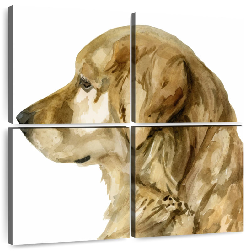 Brampt Pet Profile I