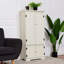 Carennac 123 cm H Standard Pantry / Tall Cabinet-1500643233