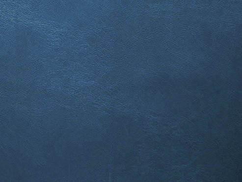 Arlind Vinyl Fabric, Aquamarine