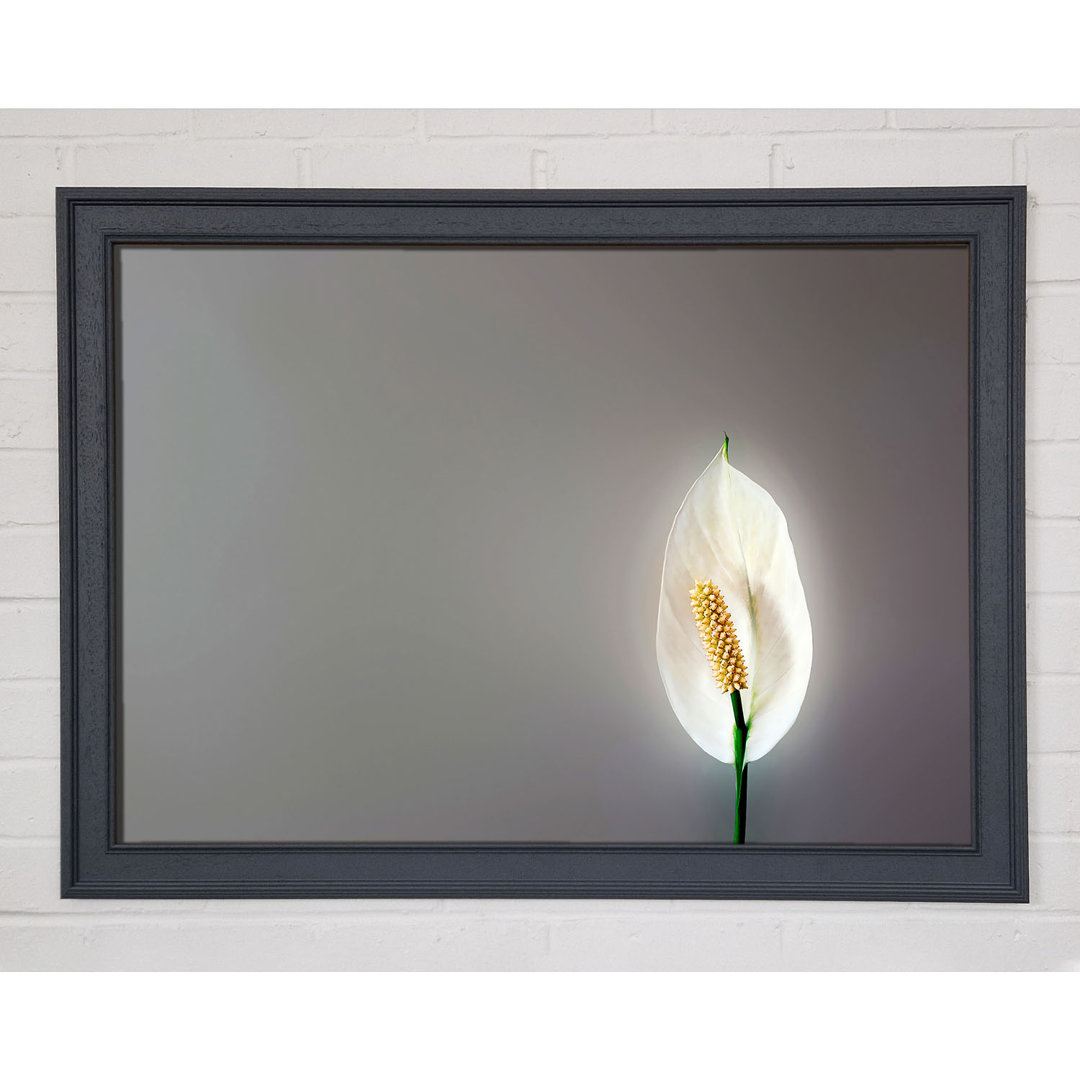 White Lily Heaven - Einzelner Bilderrahmen Kunstdrucke