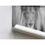Print on Canvas-1291646009-1291646006
