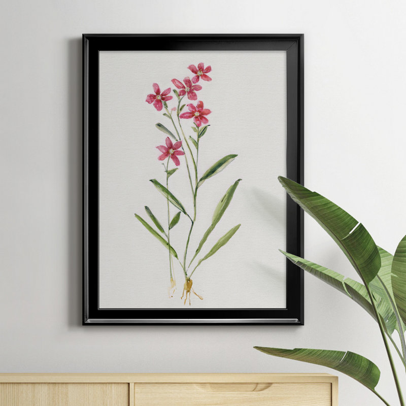 Delicate Pink II - peinture sur toile encadrée, Noir, H 22,5 po x l 30,5 po x P 1,5 po