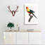 A Sun Parakeet by F. Levaillant - Wrapped Canvas Painting-55368091