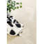 Aviahna Solid Colour Area Rug-2108378113