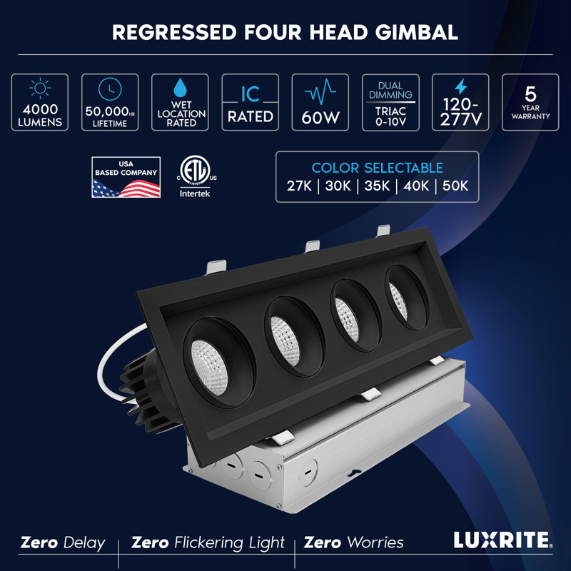 Projecteur encastré rectangulaire à 4 têtes DEL Luxrite, Noir