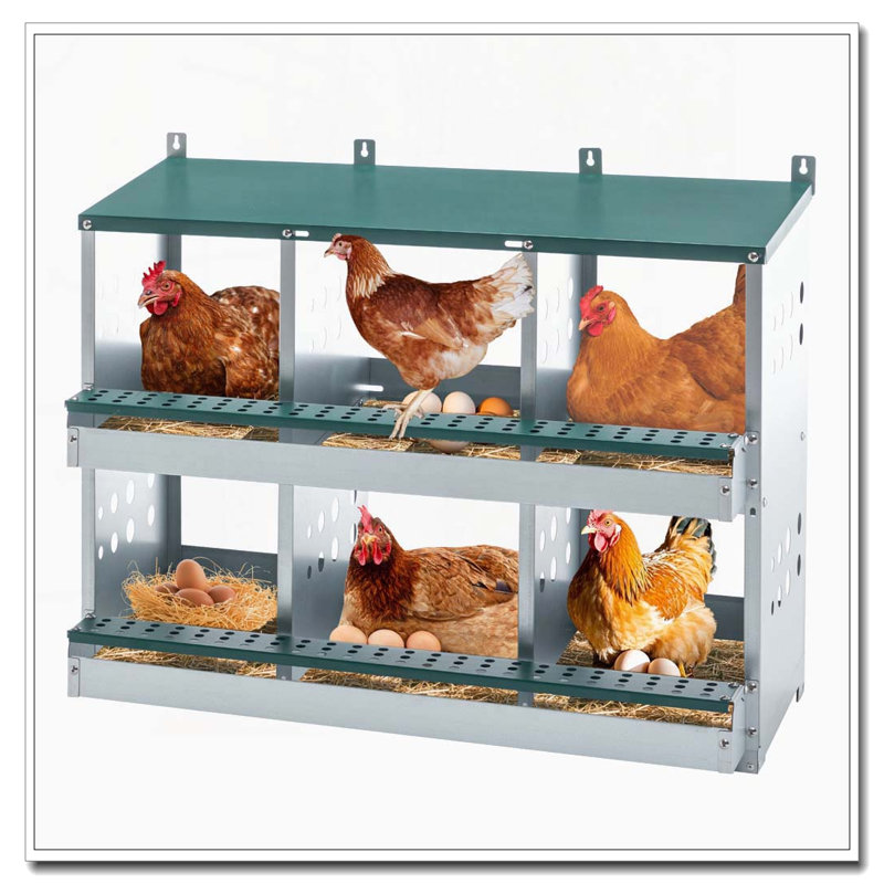 6-Compartment Roll Away Chicken Nesting Box
