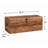 Storage Trunk