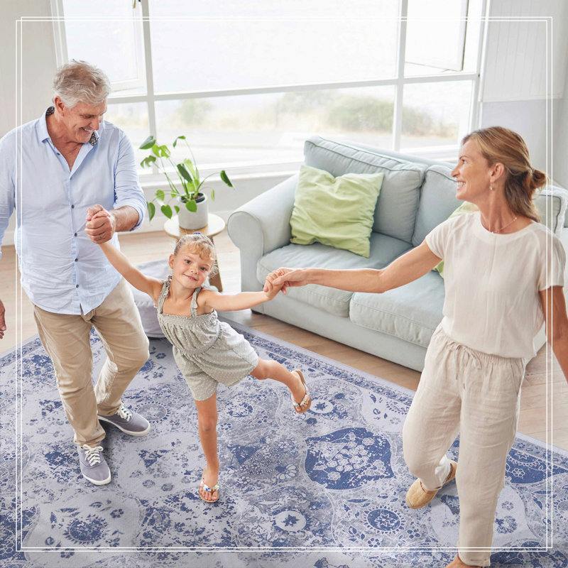 Blue Area Rug, Machine Washable Area Rugs, Low-Pile Non-Slip Non-Shedding Foldable Kid&Pet Friendly, Area Rugs For Living Room, Bedroom, Kitchen, Dining Room Rug - Perfect Gift, (Blue)