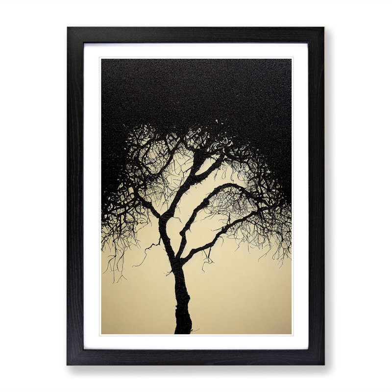 A Wild Tree - Single Picture Frame Print, 64cm H x 46cm W x 2cm D, Black