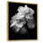 Natural Floater Framed