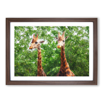 Two Giraffes Vol.2 - Framed Print