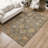 Machine Washable Indoor/Outdoor Chantille ACN2305 Global Rug-1267566474