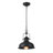 Waynetown 1 - Light Matte Black Single Pendant