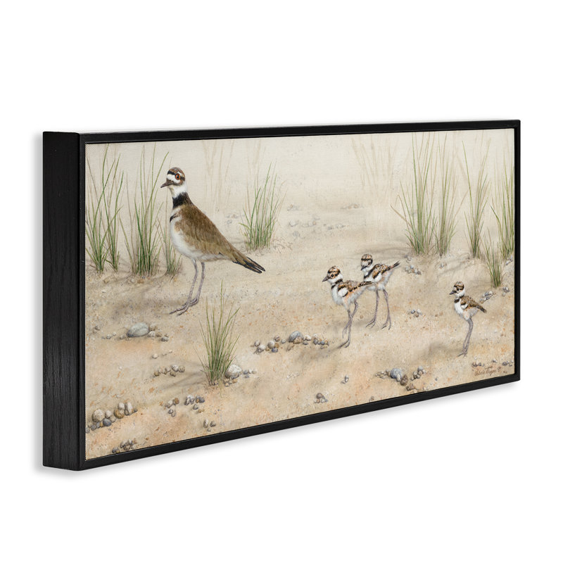  Kildeer Birds Stepping Grey Framed Giclee Art by Valerie Rogers, H 10 po x l 24 po, Giclée encadrée noir minuit
