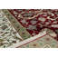 Oriental Area Rug